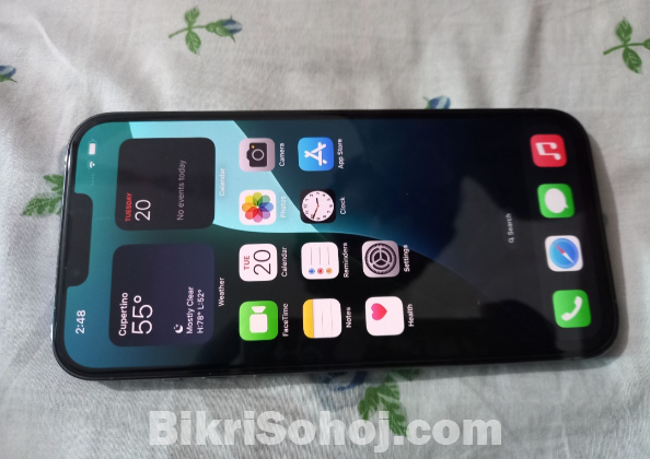 iPhone 13 pro max (128 gb)